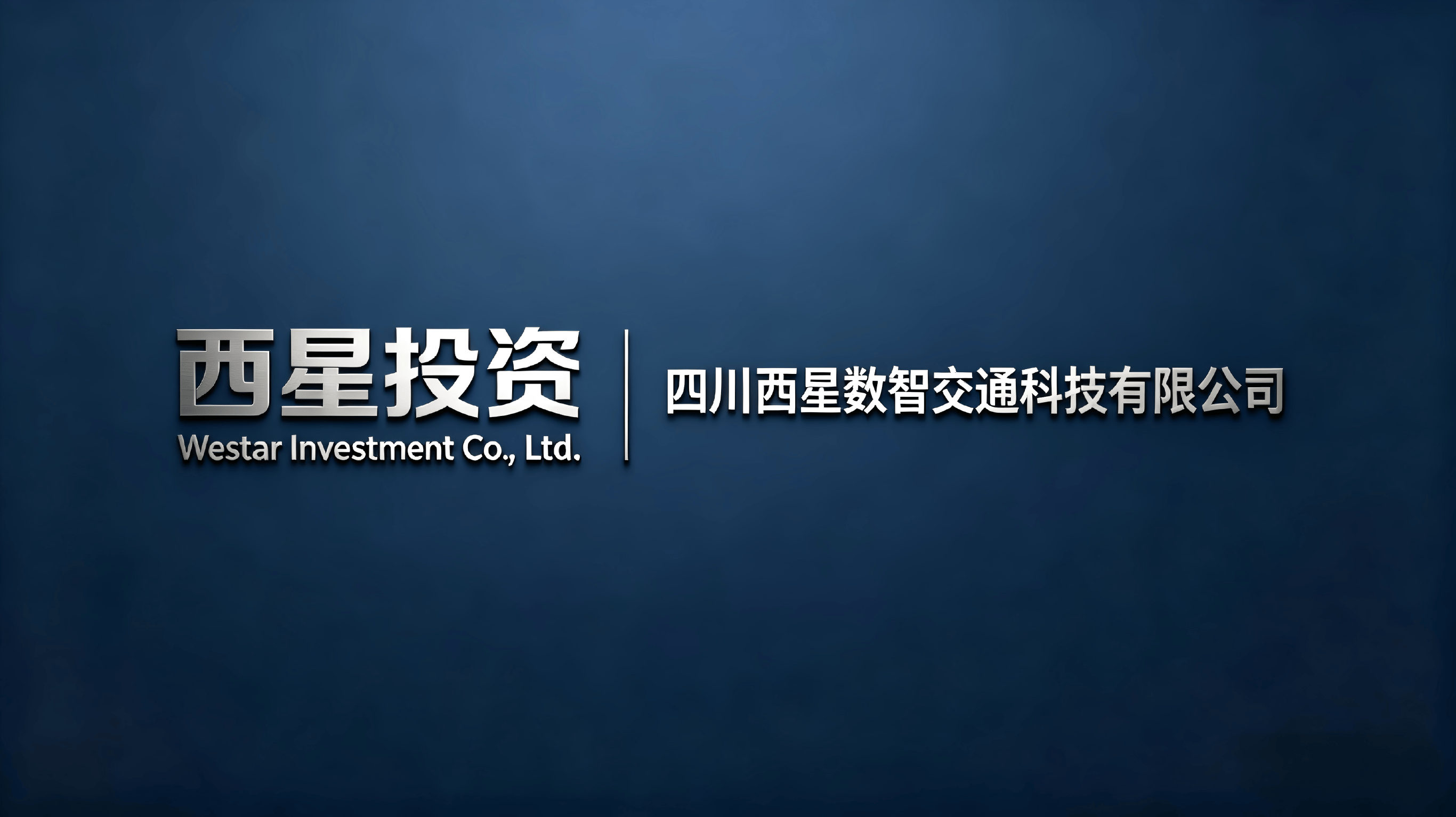 西星智检 企业名片